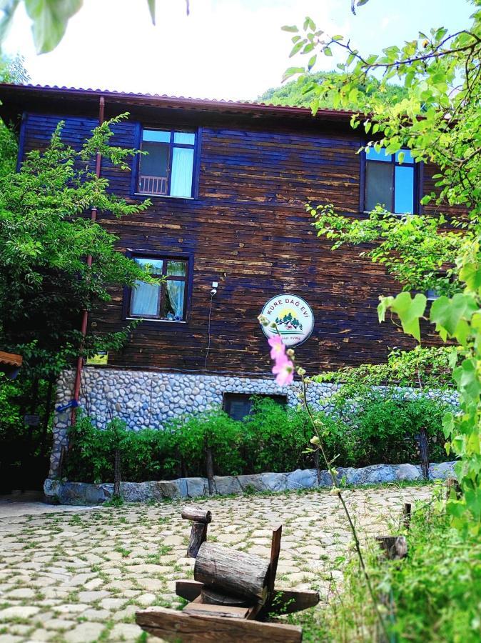Kure Dag Evi *