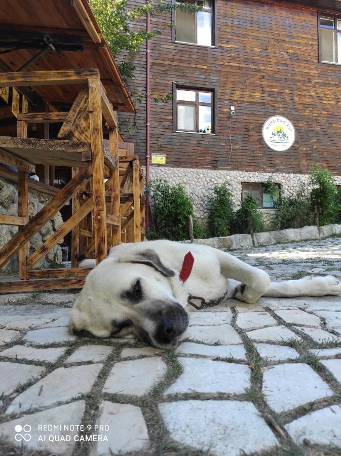 Lodge Kure Dag Evi *