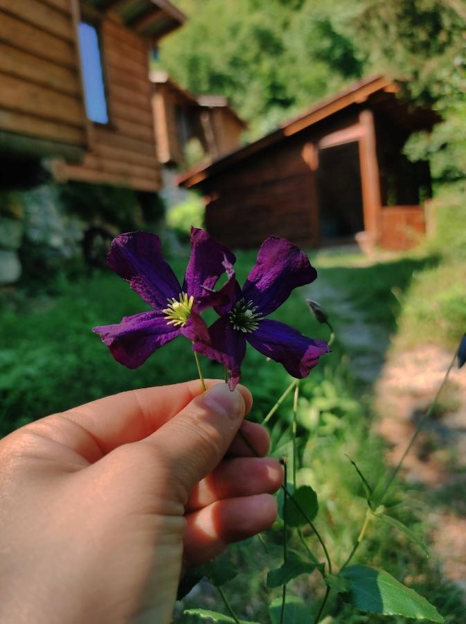 Kure Dag Evi * Ulus