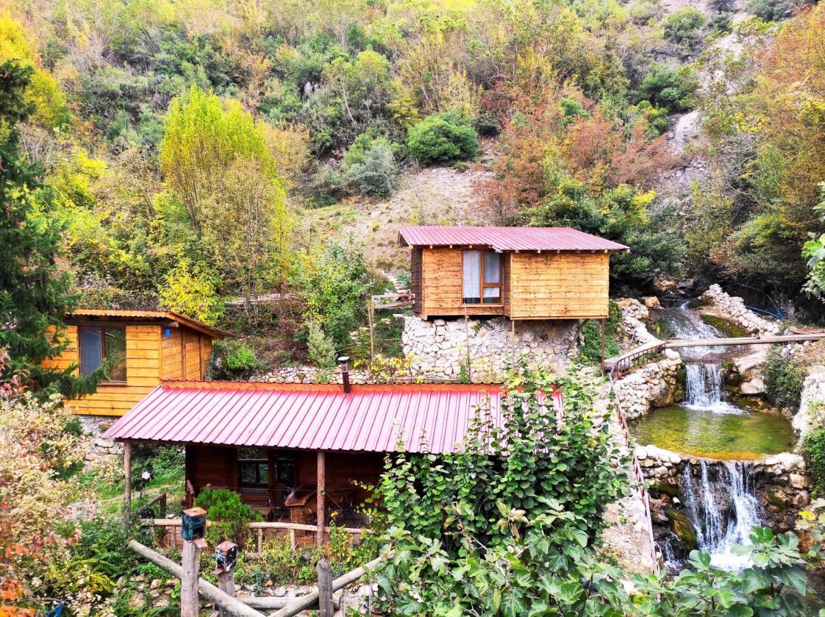 Cabană Kure Dag Evi Ulus