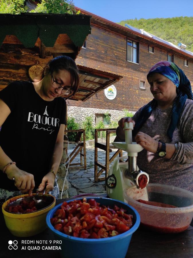 Cabană Kure Dag Evi
