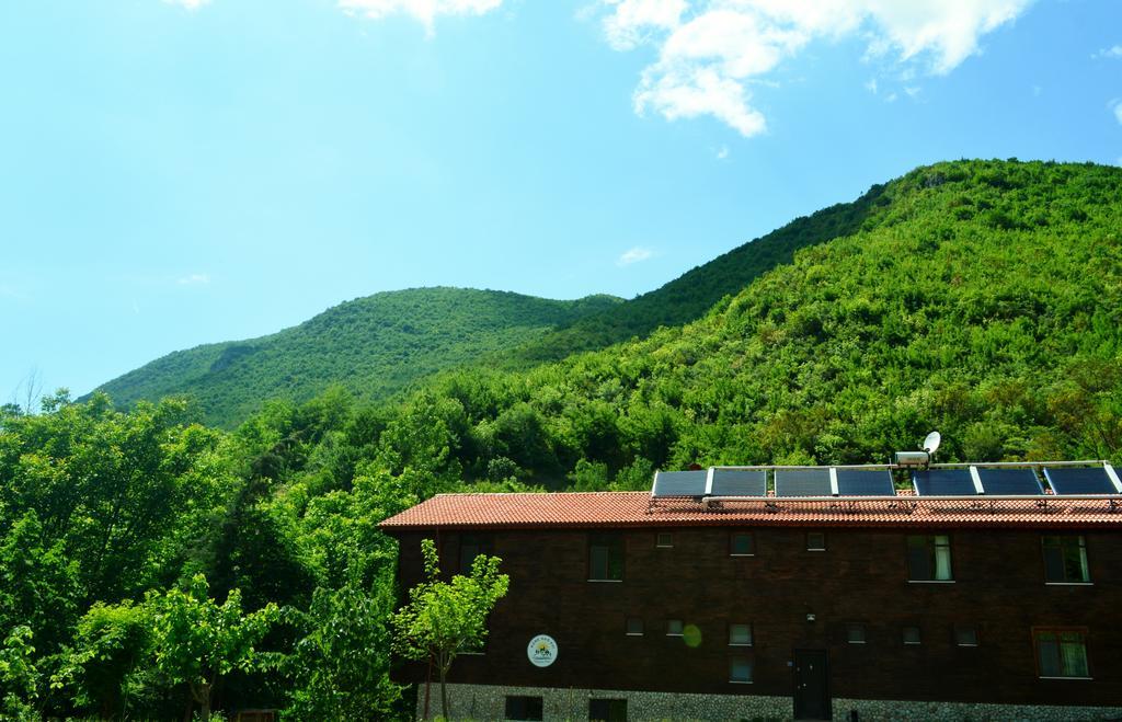Lodge Kure Dag Evi