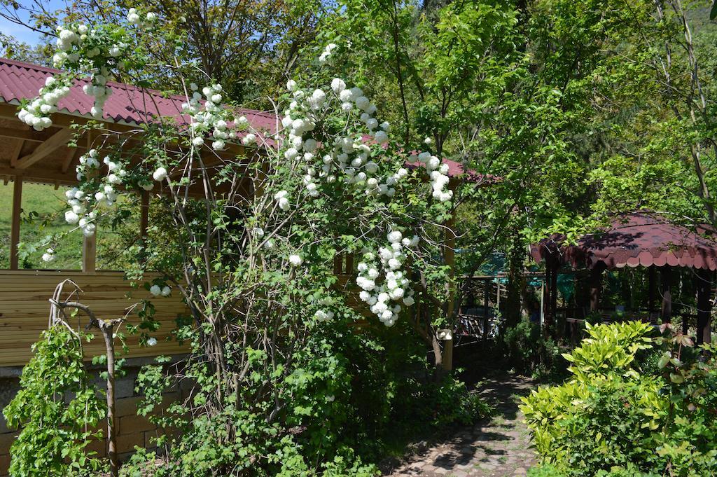 Kure Dag Evi *