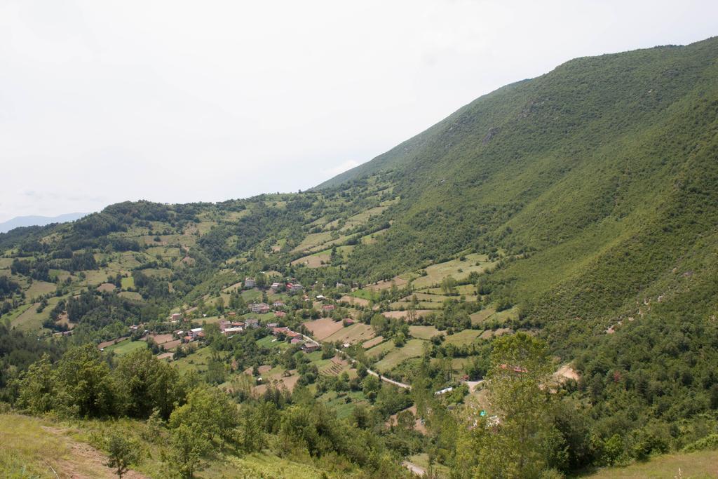 Kure Dag Evi Cabană